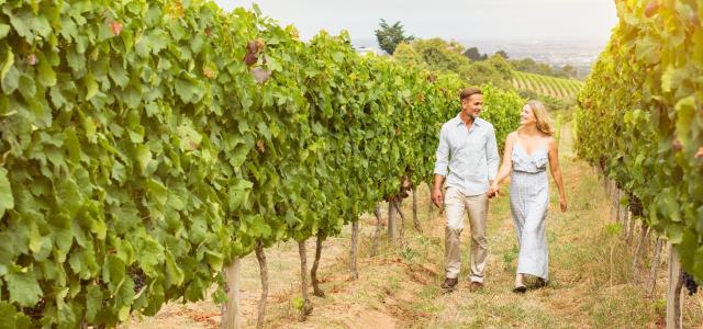 Couple walking in vineyard - Getty Images